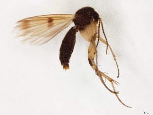  ( - TSZD-JKJ-107790)  @12 [ ] CreativeCommons - Attribution Non-Commercial Share-Alike (2019) Unspecified Tromsø University Museum