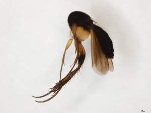  ( - TSZD-JKJ-107901)  @11 [ ] CreativeCommons - Attribution Non-Commercial Share-Alike (2019) Unspecified Tromsø University Museum