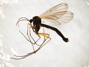  ( - TSZD-JKJ-107958)  @11 [ ] CreativeCommons - Attribution Non-Commercial Share-Alike (2019) Unspecified Tromsø University Museum