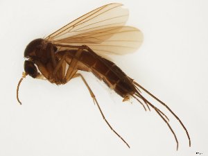  ( - TSZD-JKJ-111842)  @11 [ ] by-nc-sa (2021) Unspecified Tromsø University Museum