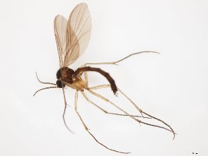  ( - TSZD-JKJ-111899)  @11 [ ] by-nc-sa (2021) Unspecified Tromsø University Museum