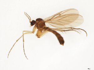  ( - TSZD-JKJ-111900)  @11 [ ] by-nc-sa (2021) Unspecified Tromsø University Museum