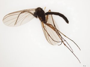  ( - TSZD-JKJ-112206)  @11 [ ] by-nc-sa (2021) Unspecified Tromsø University Museum