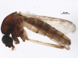  ( - BIOUG37604-E07)  @12 [ ] CreativeCommons - Attribution (2018) CBG Photography Group Centre for Biodiversity Genomics