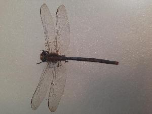  ( - OdoQC083)  @11 [ ] Unspecified (default): All Rights Reserved  Unspecified Unspecified