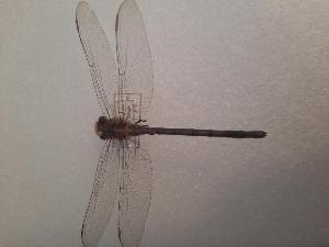  ( - OdoQC084)  @11 [ ] Unspecified (default): All Rights Reserved  Unspecified Unspecified