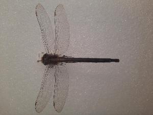  ( - OdoQC087)  @11 [ ] Unspecified (default): All Rights Reserved  Unspecified Unspecified