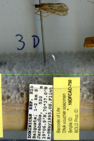  ( - 10OFCAD-750)  @11 [ ] Unspecified (default): All Rights Reserved  Unspecified Unspecified