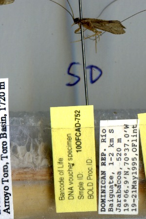  ( - 10OFCAD-752)  @11 [ ] Unspecified (default): All Rights Reserved  Unspecified Unspecified