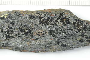 (Miriquidica pulvinatula - O-L-227883)  @11 [ ] by-nc (2020) Ann Evankow University of Oslo, Natural History Museum