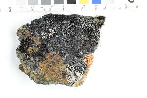 (Miriquidica subplumbea - O-L-229399)  @11 [ ] by-nc (2022) Erik J. Möller University of Oslo, Natural History Museum