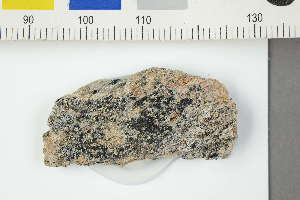  ( - O-L-229477)  @11 [ ] by-nc (2022) Erik J. Möller University of Oslo, Natural History Museum