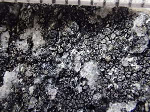  ( - O-L-235565)  @11 [ ] by-nc (2022) Reidar Haugan University of Oslo, Natural History Museum