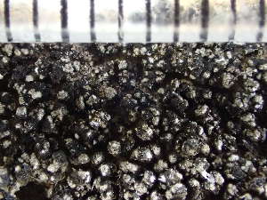  ( - O-L-235722)  @11 [ ] by-nc (2022) Reidar Haugan University of Oslo, Natural History Museum