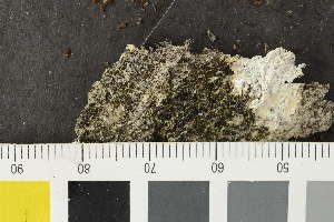  ( - O-L-241800)  @11 [ ] by-nc (2024) Alexander R. Nilsson Biofokus