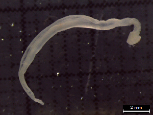  ( - IOS2022008-025)  @11 [ ] CC - Attribution Non-Commercial Share-Alike (2022) Julian Smith DFO