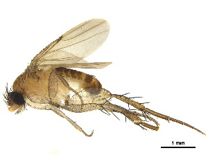  ( - BIOUG34253-H02)  @11 [ ] CreativeCommons - Attribution (2019) CBG Photography Group Centre for Biodiversity Genomics