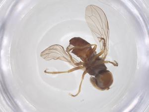  ( - BIOUG32843-C07)  @11 [ ] CreativeCommons - Attribution Share - Alike (2025) Centre for Biodiversity Genomics Centre for Biodiversity Genomics