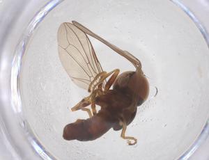  ( - BIOUG34712-B05)  @11 [ ] CreativeCommons - Attribution Share - Alike (2025) Centre for Biodiversity Genomics Centre for Biodiversity Genomics