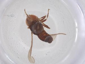  ( - BIOUG35216-G05)  @11 [ ] CreativeCommons - Attribution Share - Alike (2025) Centre for Biodiversity Genomics Centre for Biodiversity Genomics