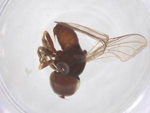  ( - BIOUG35320-A12)  @11 [ ] CreativeCommons - Attribution Share - Alike (2025) Centre for Biodiversity Genomics Centre for Biodiversity Genomics