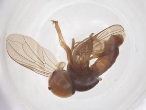  ( - BIOUG33770-C04)  @11 [ ] CreativeCommons - Attribution Share - Alike (2025) Centre for Biodiversity Genomics Centre for Biodiversity Genomics