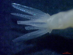  ( - E3-O26)  @11 [ ] Unspecified (default): All Rights Reserved (2021) J.Groeneveld Oceanographic Research Institute