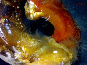  ( - CRDN115)  @11 [ ] cc-by-sa (2024) Jannes Landschoff The Sea Change Project