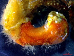  ( - CRDN115)  @11 [ ] cc-by-sa (2024) Jannes Landschoff The Sea Change Project