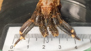  ( - CRDN43)  @11 [ ] cc-by-sa (2024) Jannes Landschoff The Sea Change Project