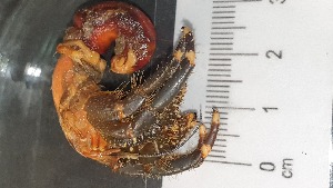  ( - CRDN43)  @11 [ ] cc-by-sa  Jannes Landschoff The Sea Change Project