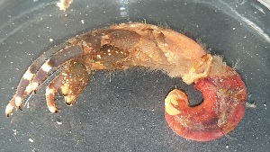  ( - CRDN43)  @11 [ ] cc-by-sa  Jannes Landschoff The Sea Change Project