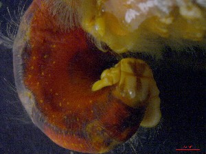  ( - CRDN43)  @11 [ ] cc-by-sa (2024) Jannes Landschoff The Sea Change Project