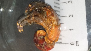  ( - CRDN43)  @11 [ ] cc-by-sa (2024) Jannes Landschoff The Sea Change Project