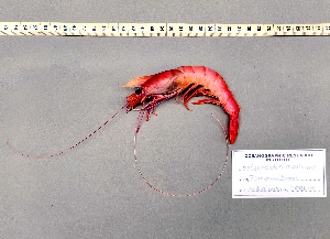  ( - PPRN3)  @11 [ ] cc-by-sa (2024) Oceanographic Research Institute Oceanographic Research Institute