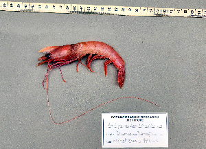  ( - PPRN4)  @11 [ ] cc-by-sa (2024) Oceanographic Research Institute Oceanographic Research Institute