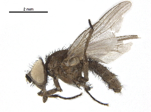  ( - BIOUG26545-D03)  @11 [ ] CreativeCommons - Attribution (2019) CBG Photography Group Centre for Biodiversity Genomics