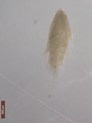  ( - BIOUG01701-D01)  @13 [ ] Unspecified (default): All Rights Reserved  Unspecified Unspecified