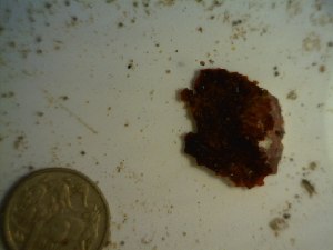  ( - GWS023379)  @11 [ ] Unspecified (default): All Rights Reserved  Unspecified Unspecified