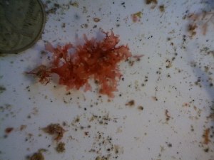  ( - GWS023748)  @11 [ ] Unspecified (default): All Rights Reserved  Unspecified Unspecified