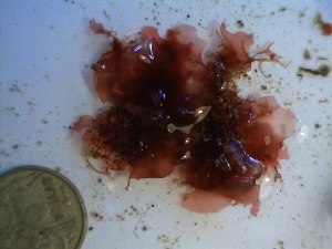  ( - GWS023851)  @11 [ ] Unspecified (default): All Rights Reserved  Unspecified Unspecified