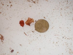  ( - GWS024268)  @11 [ ] Unspecified (default): All Rights Reserved  Unspecified Unspecified