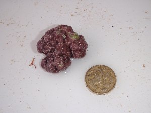  ( - GWS024986)  @11 [ ] Unspecified (default): All Rights Reserved  Unspecified Unspecified