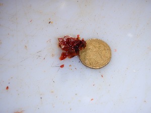  ( - GWS029221)  @11 [ ] Unspecified (default): All Rights Reserved  Unspecified Unspecified