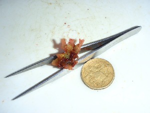  ( - GWS032663)  @11 [ ] Unspecified (default): All Rights Reserved  Unspecified Unspecified