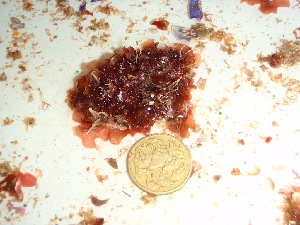  ( - GWS032671)  @11 [ ] Unspecified (default): All Rights Reserved  Unspecified Unspecified