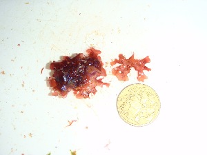  ( - GWS032680)  @11 [ ] Unspecified (default): All Rights Reserved  Unspecified Unspecified