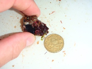  ( - GWS034007)  @11 [ ] Unspecified (default): All Rights Reserved  Unspecified Unspecified