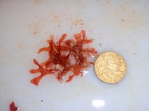  ( - GWS034373)  @11 [ ] Unspecified (default): All Rights Reserved  Unspecified Unspecified