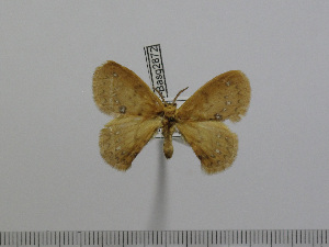  ( - BC-Basq 2872)  @12 [ ] Copyright (2011) Patrick Basquin Research Collection of Patrick Basquin